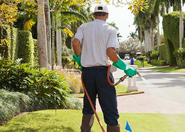 About Indianola NE Pest Control Pros